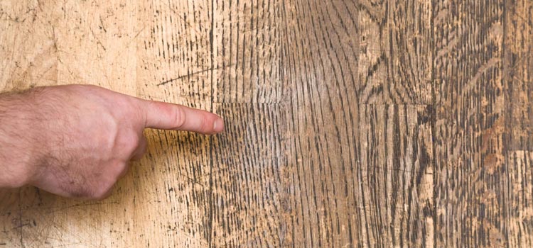 Wood Door Scratch Repair in Placentia